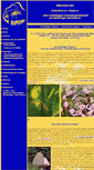 Mobile Screenshot of ak-diptera.de